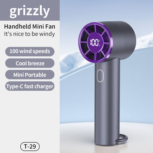 MIni Handheld Fan T-29